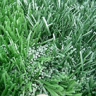 Стратегия развития производства искусственных травяных покрытий – газонов для устройства ландшафтов спортивных сооружений